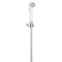 Душ гигиенический Grohe Tempesta-F 26355IL0 белый