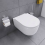 DX86C1700SC Sirius Унитаз подвесной безободковый с сиденьем микролифт