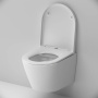 C741701SC Sense Унитаз подвесной FlashClean с сиденьем микролифт
