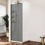 Душевая перегородка Walk-In VSW-1HWS800CGGM, 800*2000, вороненая сталь, стекло тонированное