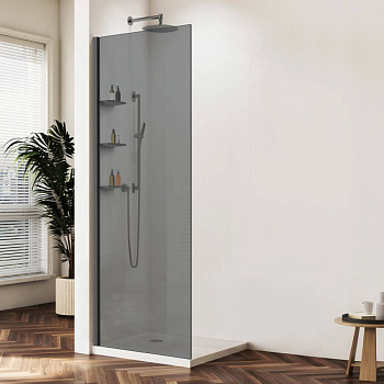 Душевая перегородка Walk-In VSW-1HWS120CGGM, 1200*2000, вороненая сталь, стекло тонированное