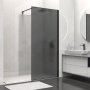 Душевая перегородка Walk-In VSW-1HS100GFB, 1000*2000, черный матовый, стекло матовое тонированное