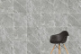 Керамогранит K951682R0001VTER SilkMarble Калакатта Оро (120см*60см*8мм) (2шт/1,44м2), м2