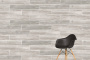 20х120 Aspenwood Бежевый Матовый R10A Ректификат