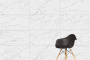 60х120 CityMarble Статуарио Венато 7ЛПР R9