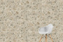 60х60 CityStone Травертин Линейный Матовый R10A 7Рек
