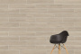20х120 OakWood Бежевый Матовый R10A Ректификат
