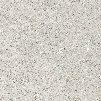 Granito Grigio Керамогранит серый CR6060G0461R 59,5х59,5 матовый
