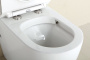 Чаша приставного унитаза BelBagno SFERA-R BB2141CBR
