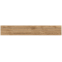 Фальшмозаика SI01 Trail 19x120x10 непол.