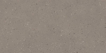 RO02 60x120x9 Непол.Рект. (Керамический гранит)