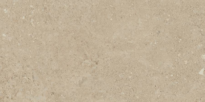 NP02 30,6x60,9x8 Непол. (Керамический гранит)