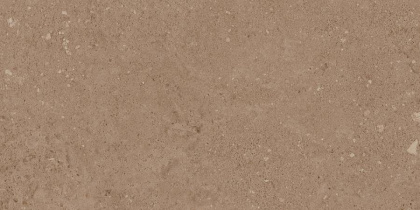 NP03 30,6x60,9x8 Непол. (Керамический гранит)