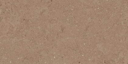 NP03 30,6x60,9x8 Непол. (Керамический гранит)