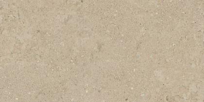 NP02 30,6x60,9x8 Непол. (Керамический гранит)