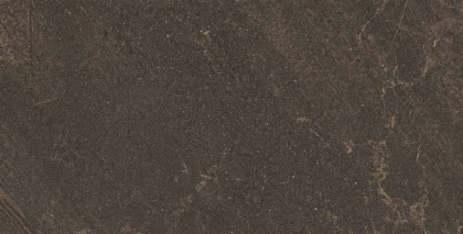 GB04 60x120x10 Непол.Рект. (Керамический гранит)