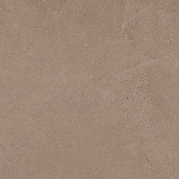 GO01 60x60 Непол.Рект. (Керамический гранит)
