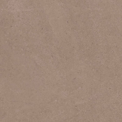 GO01 60x60 Непол.Рект. (Керамический гранит)