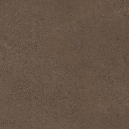 GO03 60x60 Непол.Рект. (Керамический гранит)