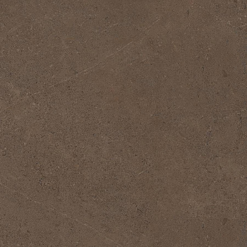GO03 60x60 Непол.Рект. (Керамический гранит)