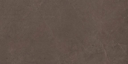 GO03 60x120x10 Непол.Рект. (Керамический гранит)
