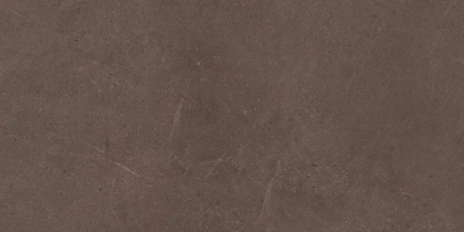 GO03 60x120x10 Непол.Рект. (Керамический гранит)