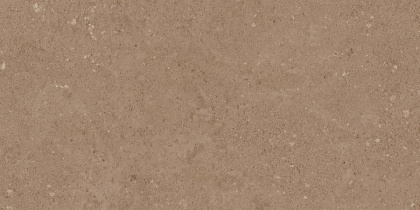 NP03 30,6x60,9x8 Непол. (Керамический гранит)