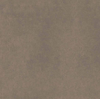 CA04 60x60x10 Непол.Рект. (Керамический гранит)