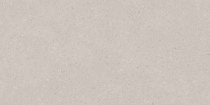 RO00 60x120x9 Непол.Рект. (Керамический гранит)