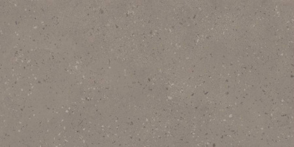 RO02 60x120x9 Непол.Рект. (Керамический гранит)