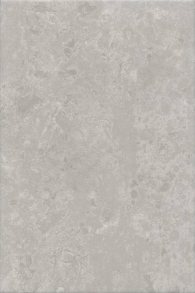 Ферони серый матовый 20x30x0,69
